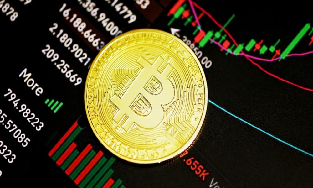 With Bitcoin [BTC] mirroring 2019 price plummet, will 2023 see panic-driven investors