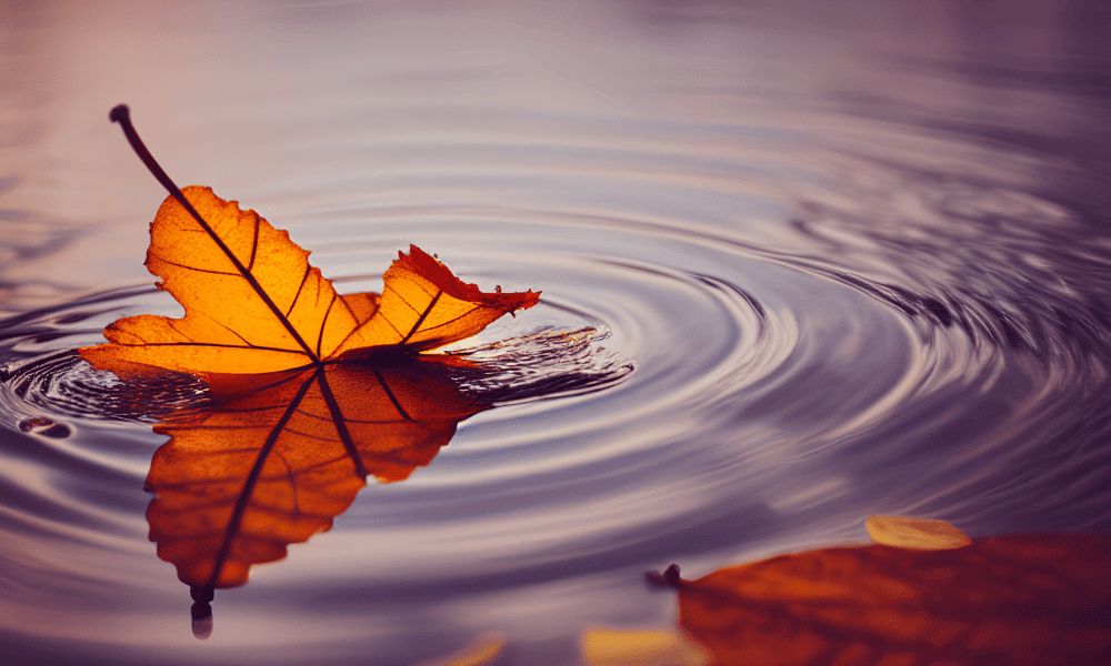 How XRP created a ‘Ripple’ in the market with its latest price surge