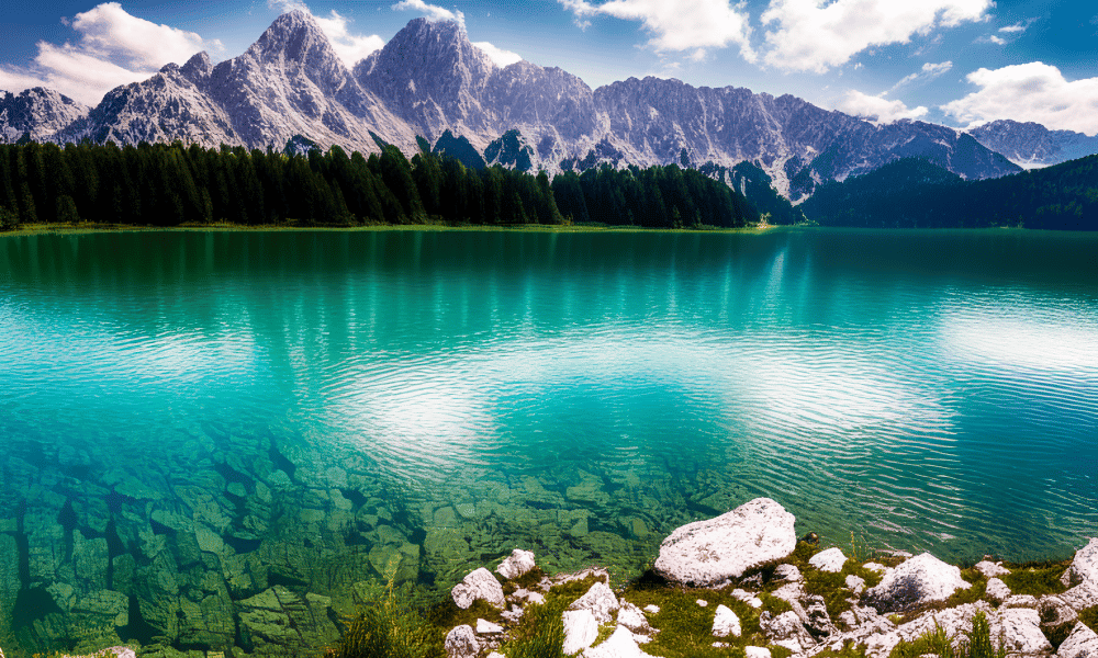 Optimism emerges as a contender in Layer-2 space: can it overtake Polygon?