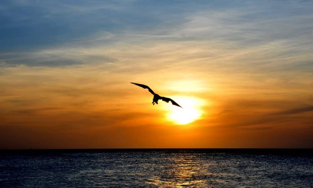 Aptos [APT] is in price discovery, are you too late to the party?