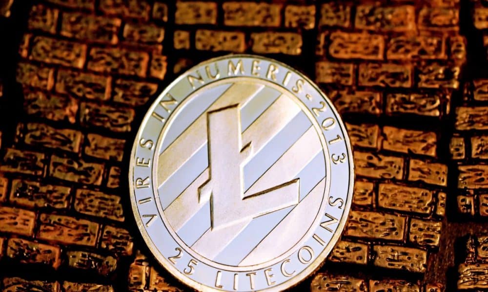 Assessing why LTC whales stood on thin ice despite Litecoin’s 2022 performance