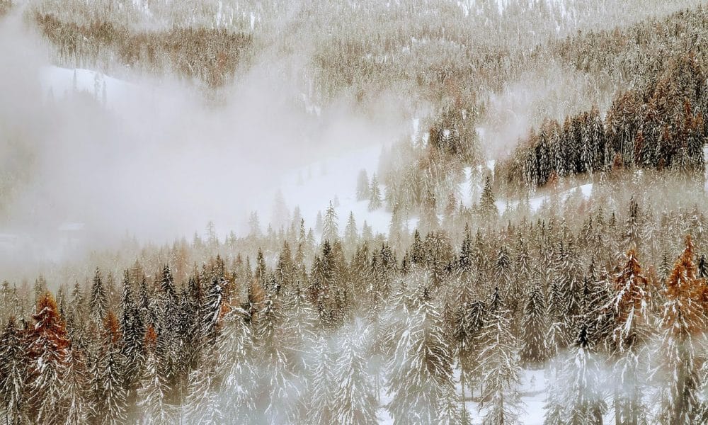 Avalanche retests a $12 mid-December resistance: Can the bulls prevail?