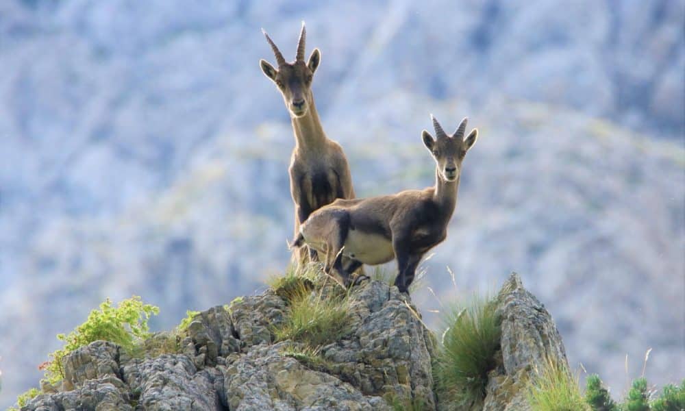 Binance Coin bulls encountered resistance at $282, will a rejection follow?