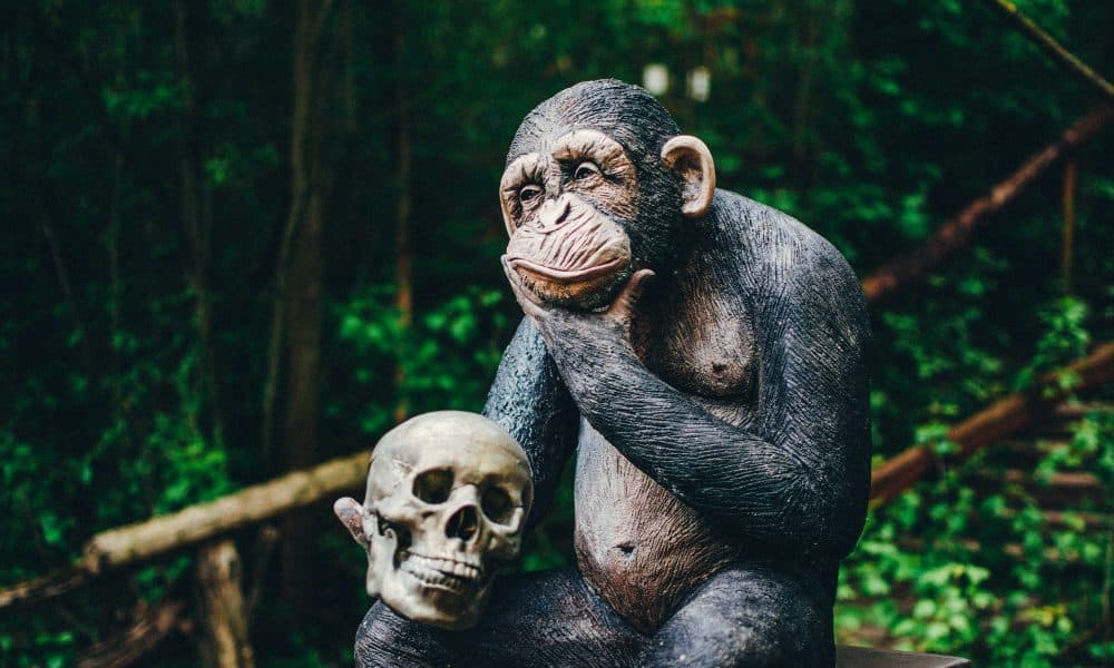 Can ApeCoin holders bank on 2023 as the year of the APE? This data suggests…