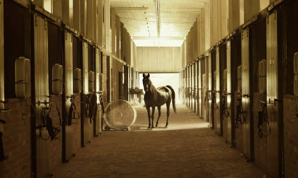 Cardano: Will this upcoming feature cement ADA as the ‘Ethereum killer’?