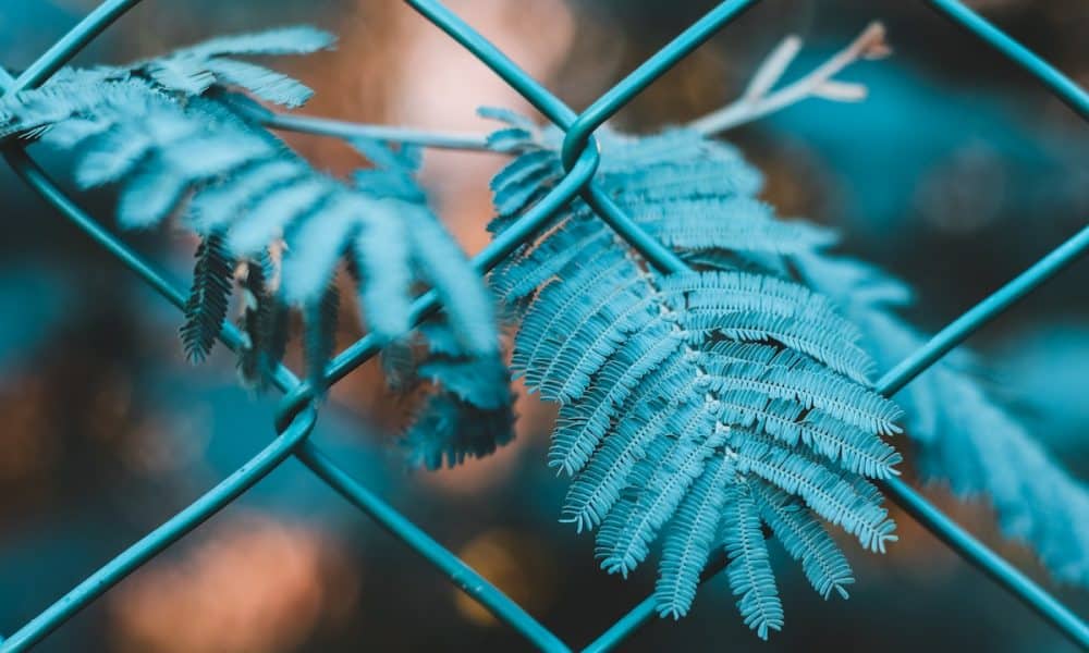 Chainlink (LINK) Price Prediction 2025-2030: Could LINK reach its $9 high soon?