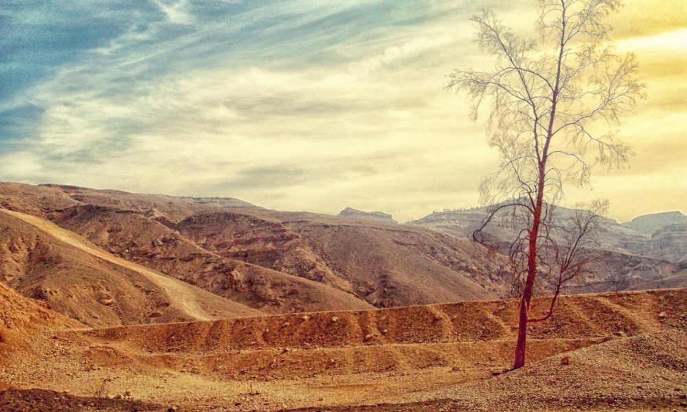 Decentraland [MANA]: Bears should watch out for these two demand zones