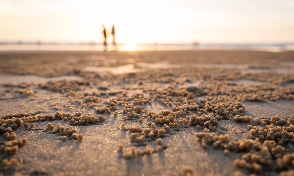 Ethereum [ETH] rises above $1,210 but is a year-end rally on the cards