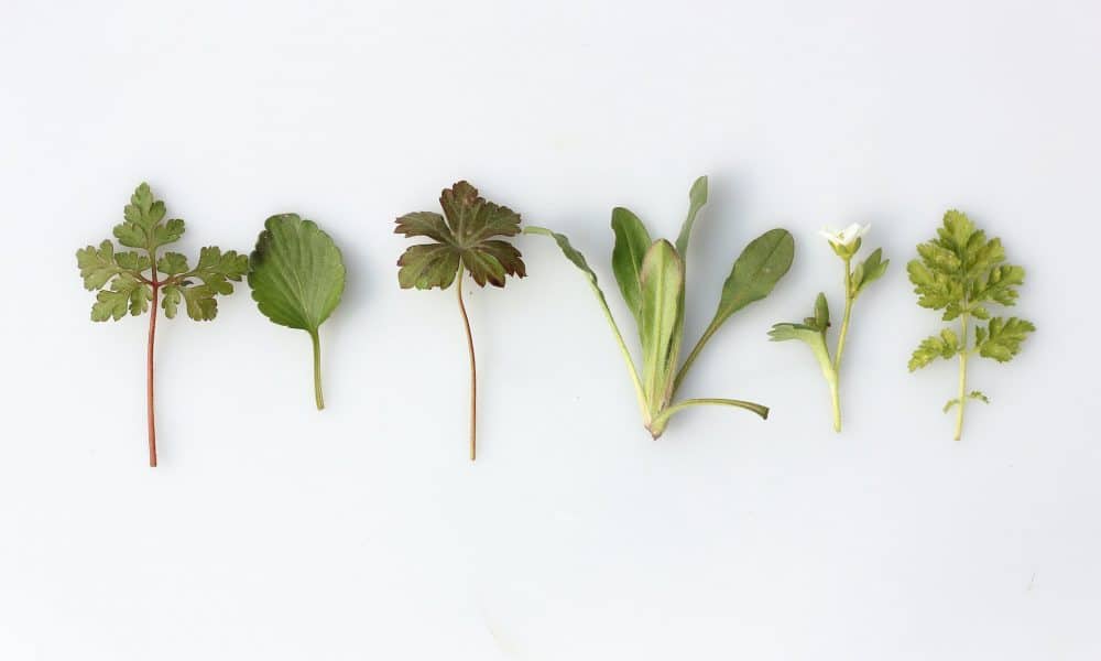 Has Solana chosen a recovery roadmap after SOL registers >18% uptick