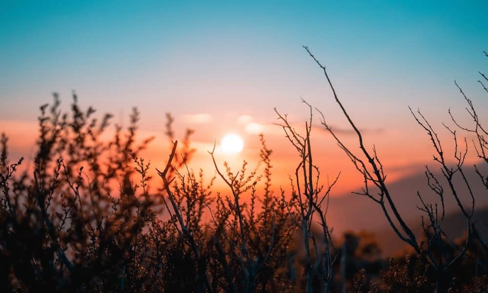 Optimism short-term holders planning to book profit should read this first