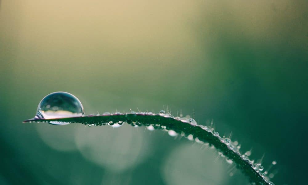 Polkadot (DOT) Price Prediction 2025-2030: Can DOT win from the bears?