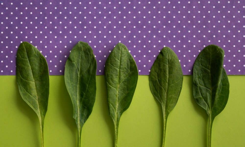 Polkadot (DOT) Price Prediction 2025-2030: Will DOT continue to see green?