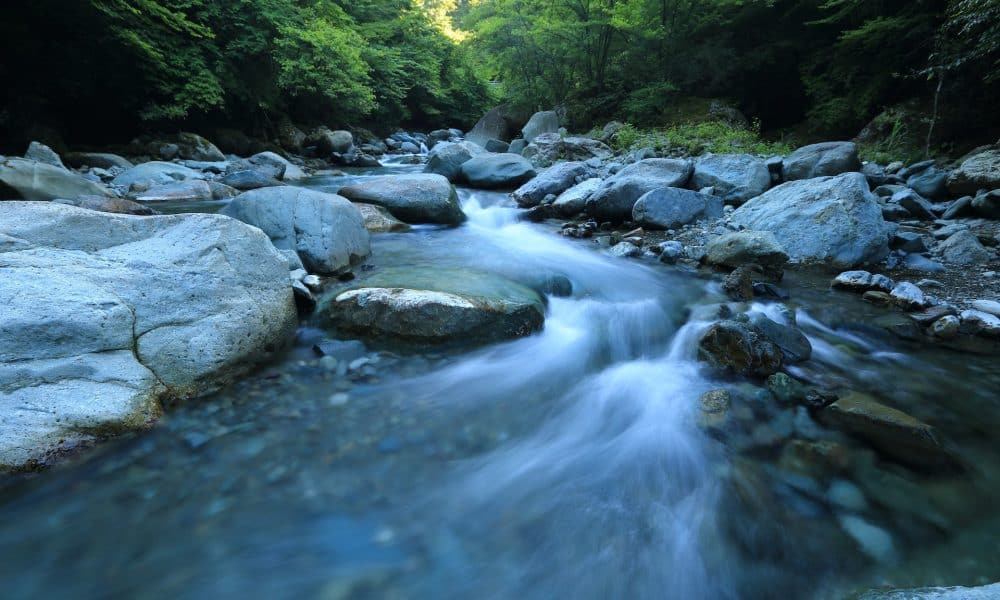 Polygon (MATIC) Price Prediction 2025-2030: What’s in store for MATIC?