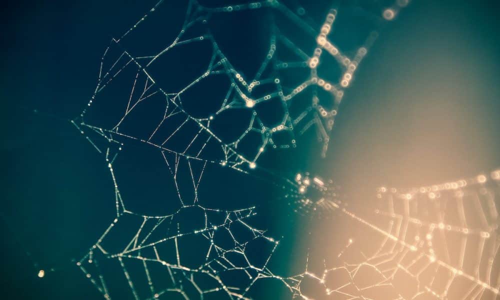 Polygon aces TVL rankings, passes these chains, but will MATIC rebound?