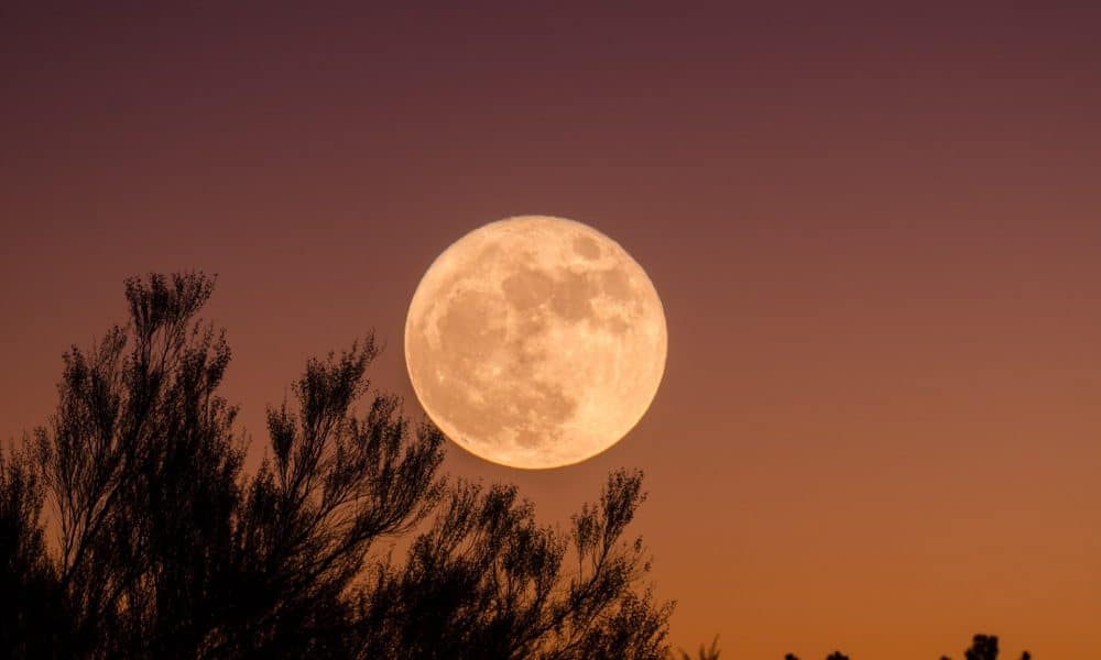 SafeMoon (SFM) Price Prediction 2025-2030: The SFM talks you need to know