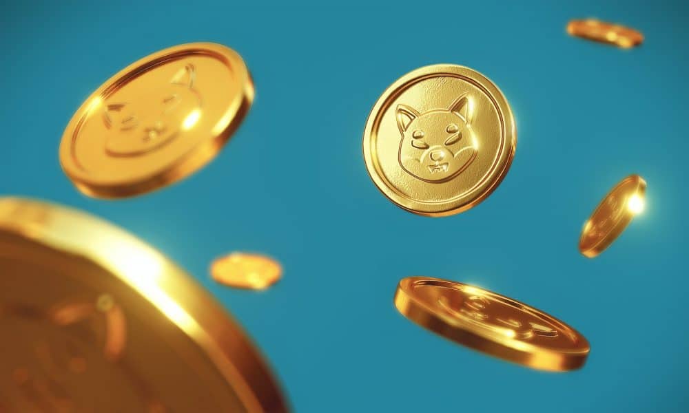 Shiba Inu Coin (SHIB) Price Prediction 2025-2030: Paper hands can short SHIB at…