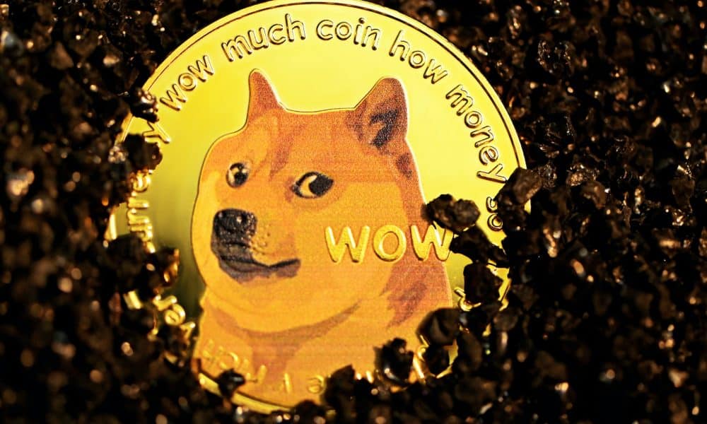 Shiba Inu Coin (SHIB) Price Prediction 2025-2030: What SHIB holders should expect?