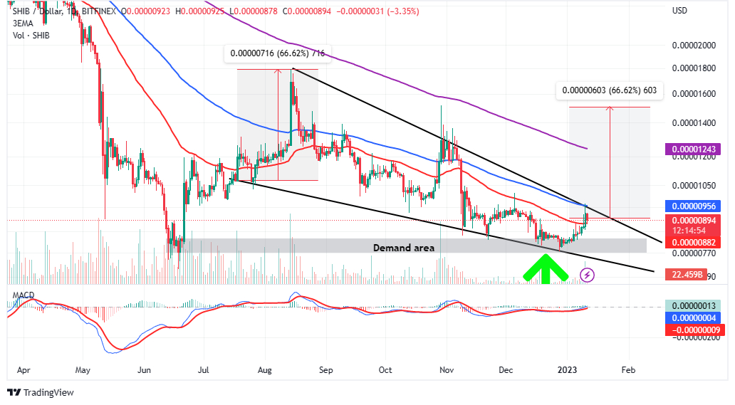Shiba Inu Price Prediction – Can This Meme Coin Deliver for Crypto Bulls in 2023 as Price Edges Higher?