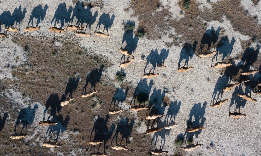 Solana (SOL) Price Prediction 2025-30: SOL continues to touch highs