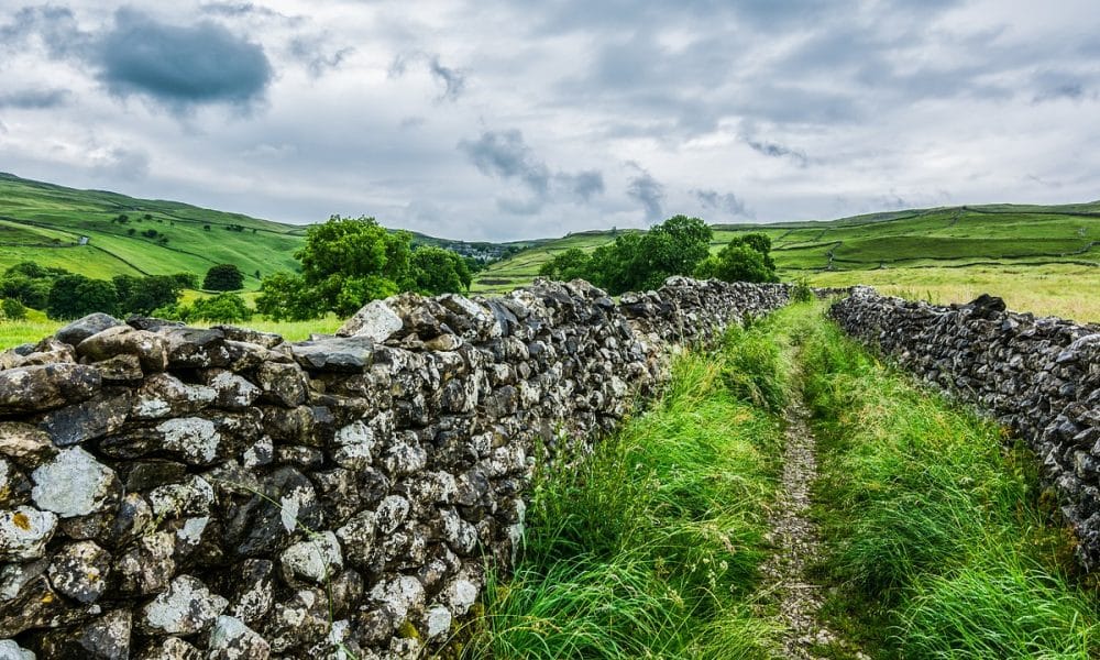 TRON saw neutral momentum in recent weeks, but buyers can look for a dip to…