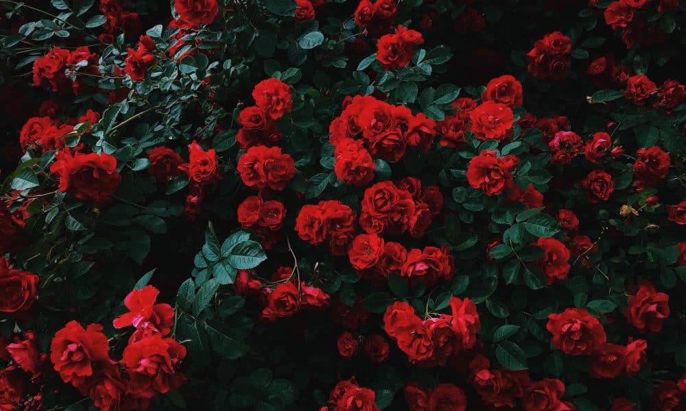 Terra LUNA Classic [LUNC] Price Prediction 2025-2030: Will LUNC reach $10 ever?