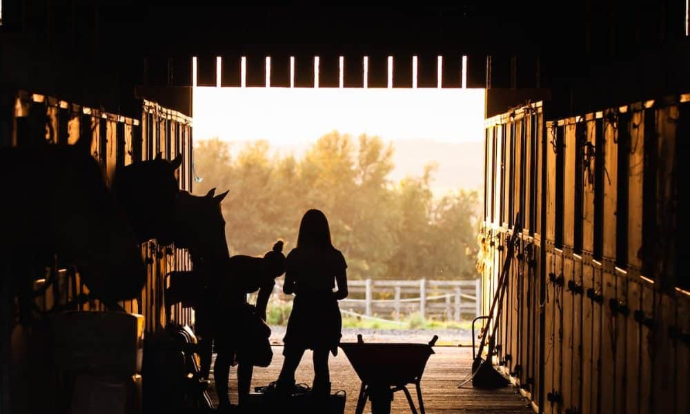 Tether [USDT] Canada plans go for a toss as exchange announces major news