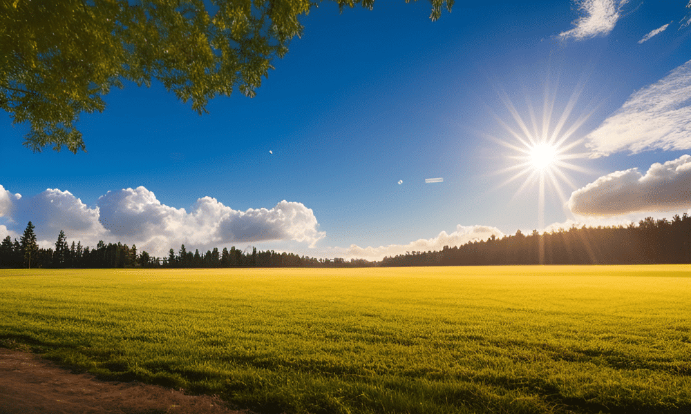 NEAR Protocol’s [NEAR] key divergence calls for investors’ caution