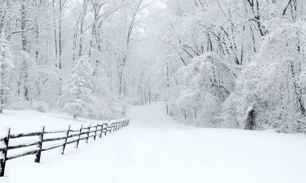 Avalanche’s NFT sector registers growth, but can it help AVAX go up?