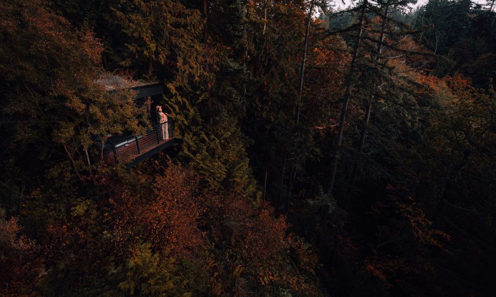 Binance Coin (BNB) Price Prediction 2025-2030: BNB meanders above $300 despite burning