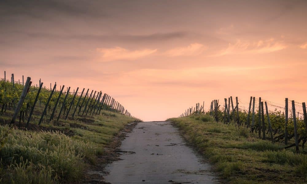 Binance Coin [BNB] forms bullish continuation pattern – to $360 next?