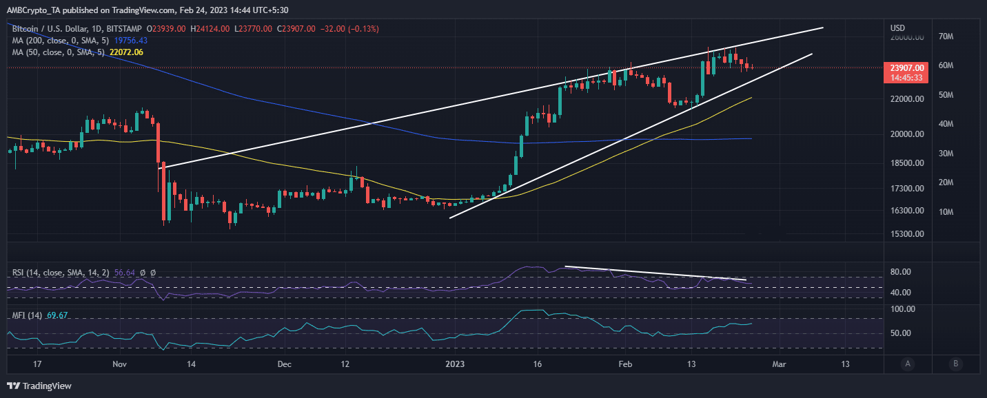 Bitcoin [BTC] bears show signs of weakness as this metric slows down