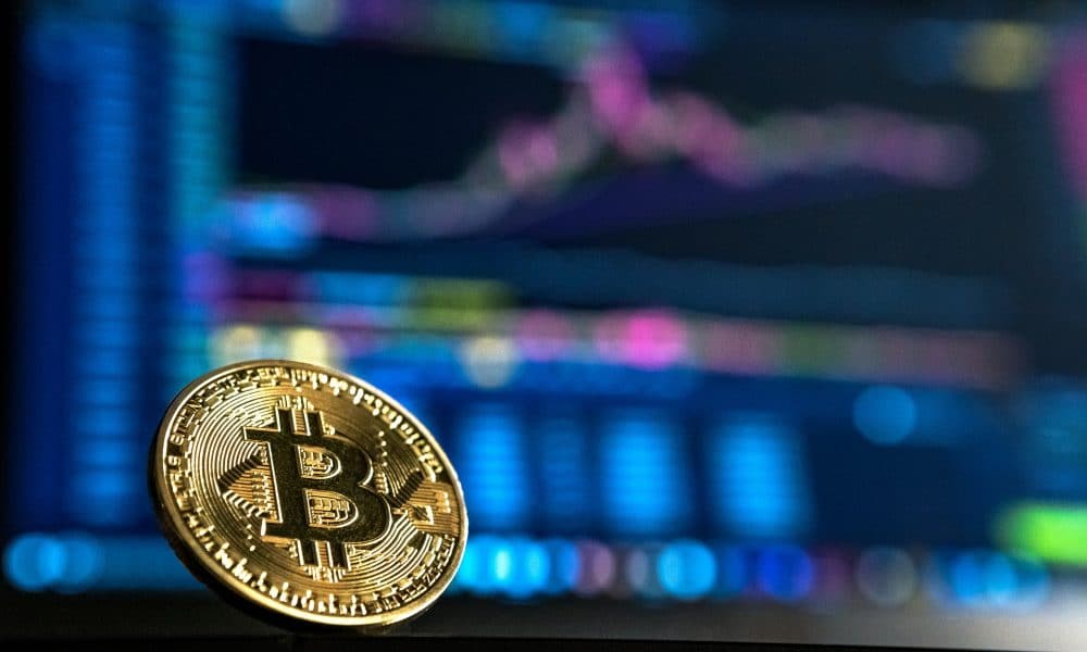 Bitcoin whales, retail investors show contrasting behavior- Here’s why
