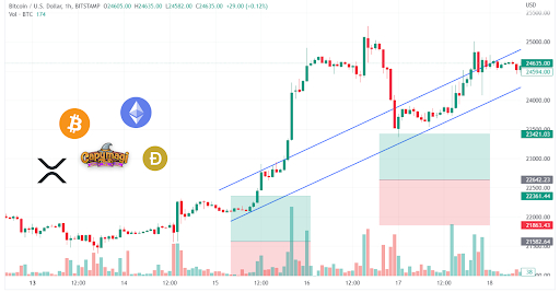 CapyMagi (CMAGI) Token Presale Goes Live – Play and Earn MMORPG Game