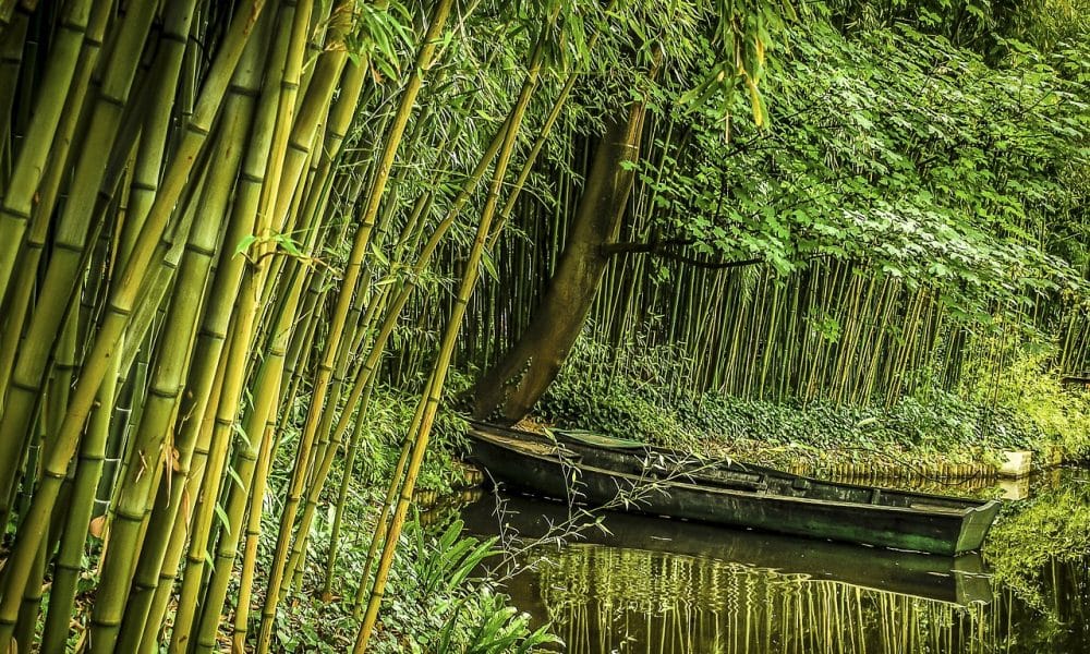 Cardano approaches critical resistance level of $0.42: Bulls to witness more gains?