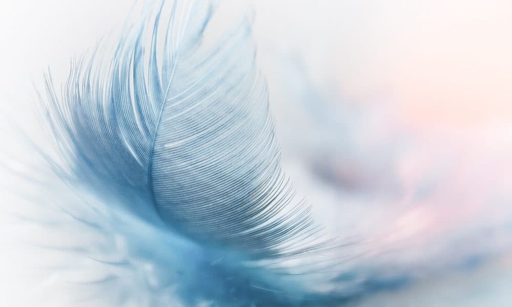 Cardano shows bearishness in short-term, but reversal was possible at…