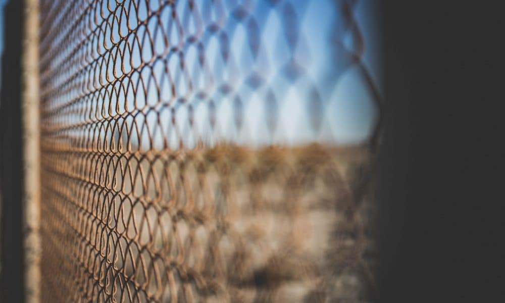 Chainlink (LINK) Price Prediction 2025-2030: Should investors worry as LINK falls below $7