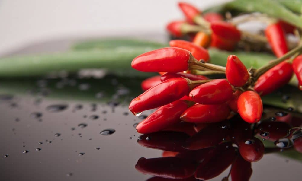 Chiliz supply on exchanges shows concerning sign, here’s what to expect