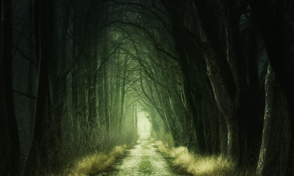 Decoding why it is dangerous to short HBAR, unless it is intraday scalp trade