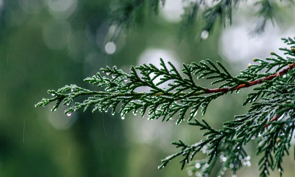 Despite token airdrop, Optimism logs decline in user activity- Decoding ‘why’