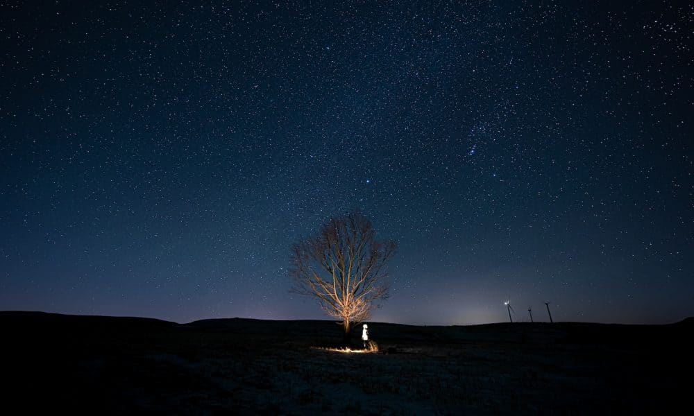 Fantom: A bull run or a bull trap? These metrics suggest FTM is…