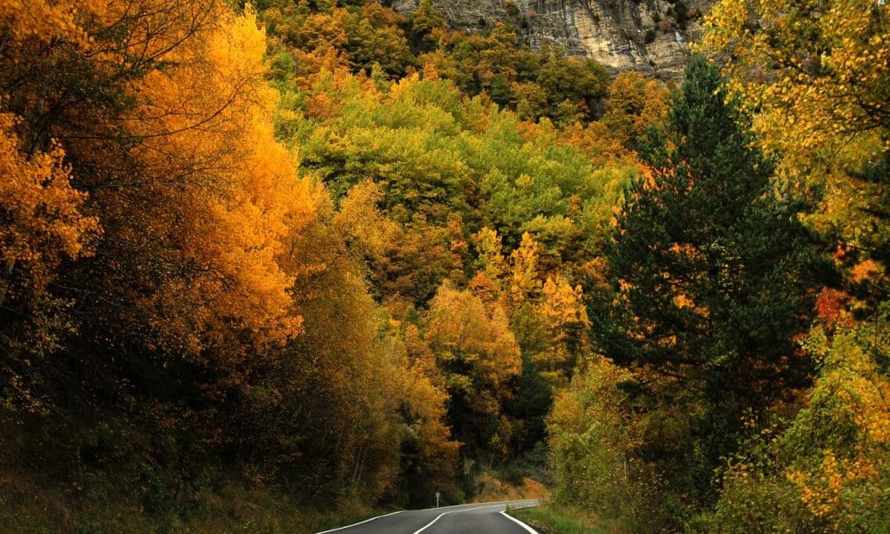 Key levels for Solana bulls and bears to plan their next moves