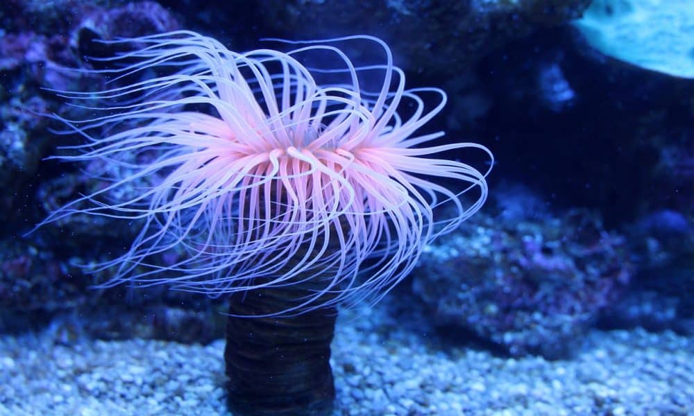 MATIC breaks out yet another range, what are the next targets?