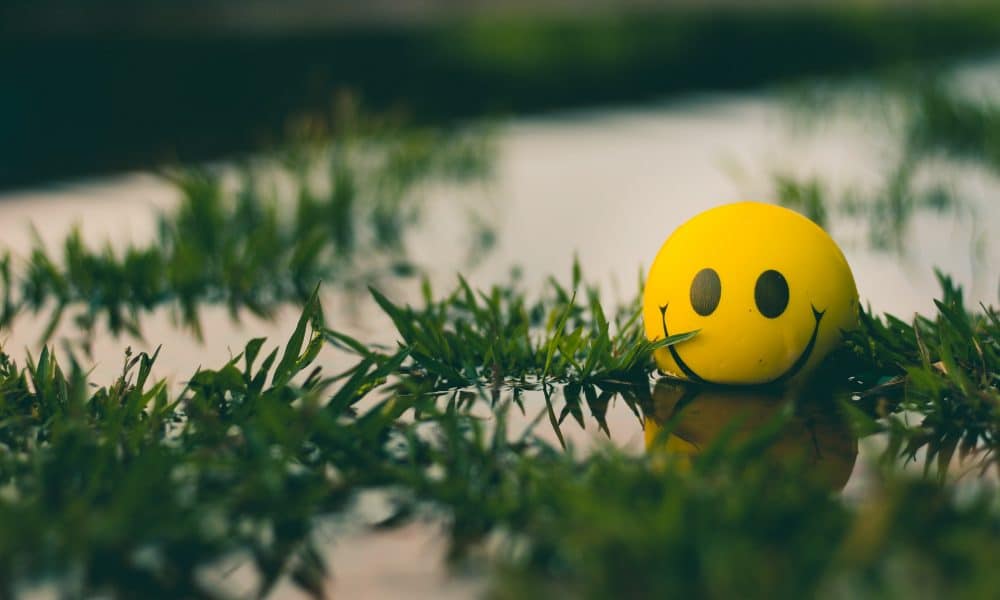 Optimism [OP] adds this CSR method on its mainnet – the result could…