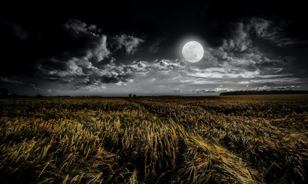 SafeMoon (SFM) Price Prediction 2025-2030: SFM stagnates as flag pattern forms