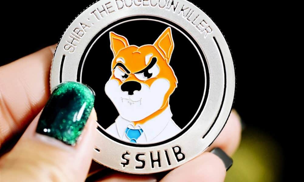 Shiba Inu Coin (SHIB) Price Prediction 2025-2030: How long will SHIB army wait for support?