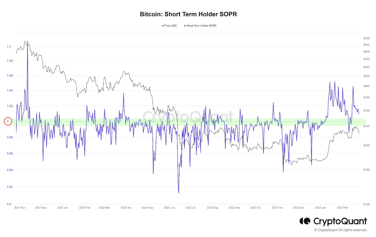 Short-term Bitcoin [BTC] holders may drive next bull run- Here’s how