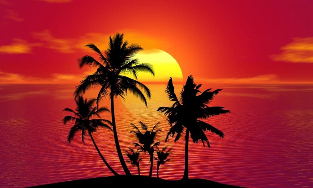 Solana onboards new protocol that will allow users to trade real…