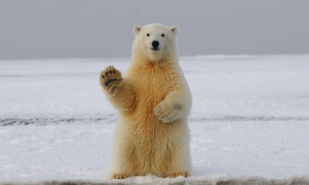 What’s in store for the Optimism token’s long-term holders?