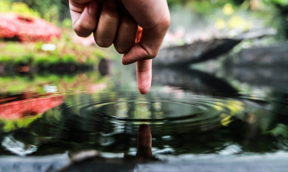 XRP steady at 23.6% Fib level: At which level will investors find gains