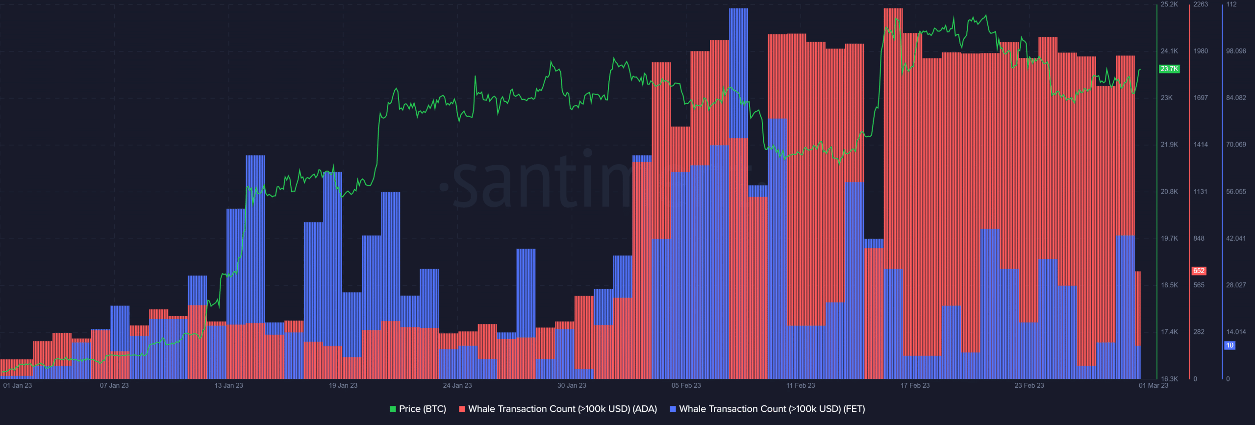 ADA and FET see increased whale transactions: What’s going on?